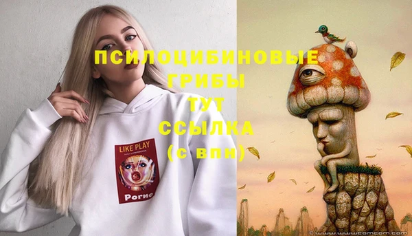 ПСИЛОЦИБИНОВЫЕ ГРИБЫ Абдулино