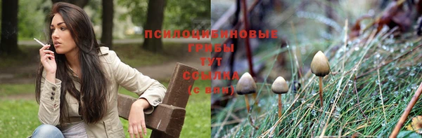 шишки Абинск