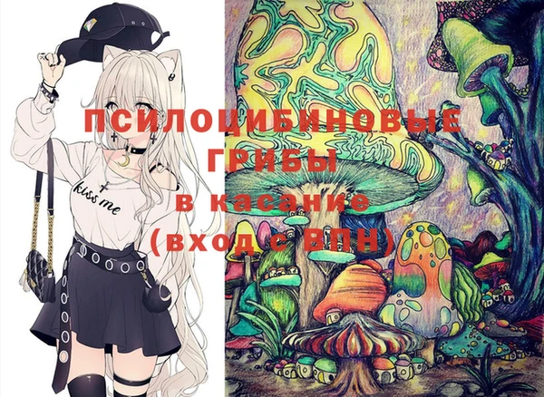 шишки Абинск